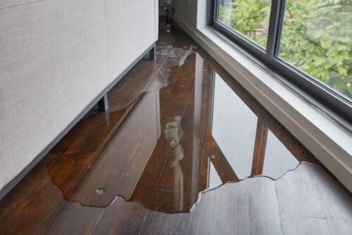 Bauträgervertrag - Nacherfüllung bei Wasserschäden - Prognoserisiko für Übermaßsanierung