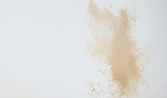 baumängelrüge-dokumentation Substantiierung einer Baumängelrüge