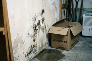 Haftung für eine mangelhafte Kellerabdichtung: Wer zahlt die Sanierung?
